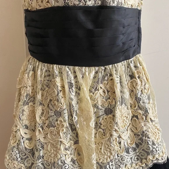 Vintage Betsy Johnson Strapless Lace Prom Dress Black and White, size 4 - Picture 9 of 10